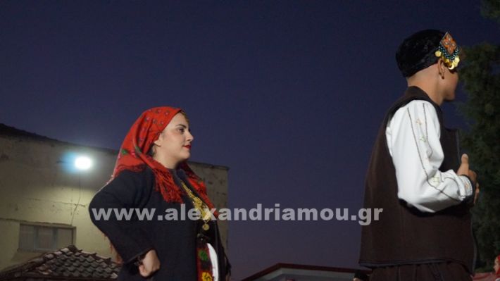 www.alexandriamou.gr_nissi_panhgyrikes_ekdiloseis_xoreftika29.6.25DSC03089