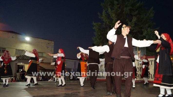 www.alexandriamou.gr_nissi_panhgyrikes_ekdiloseis_xoreftika29.6.25DSC03093