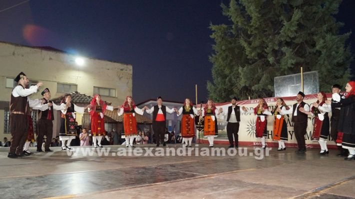 www.alexandriamou.gr_nissi_panhgyrikes_ekdiloseis_xoreftika29.6.25DSC03107