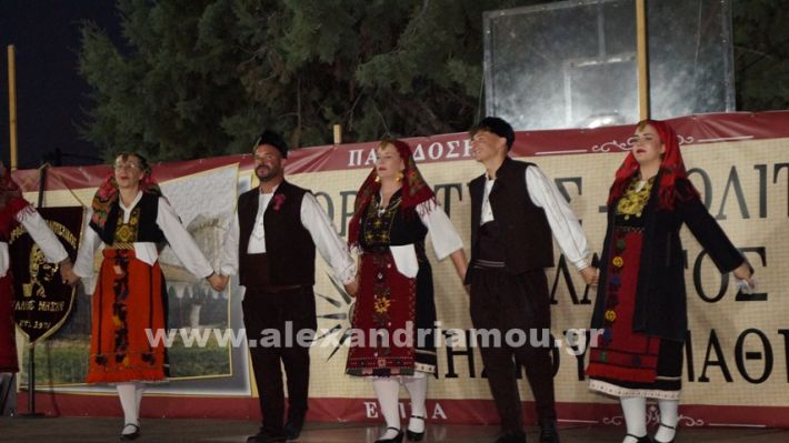 www.alexandriamou.gr_nissi_panhgyrikes_ekdiloseis_xoreftika29.6.25DSC03108