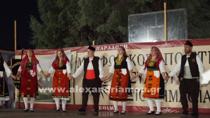 www.alexandriamou.gr_nissi_panhgyrikes_ekdiloseis_xoreftika29.6.25DSC03113