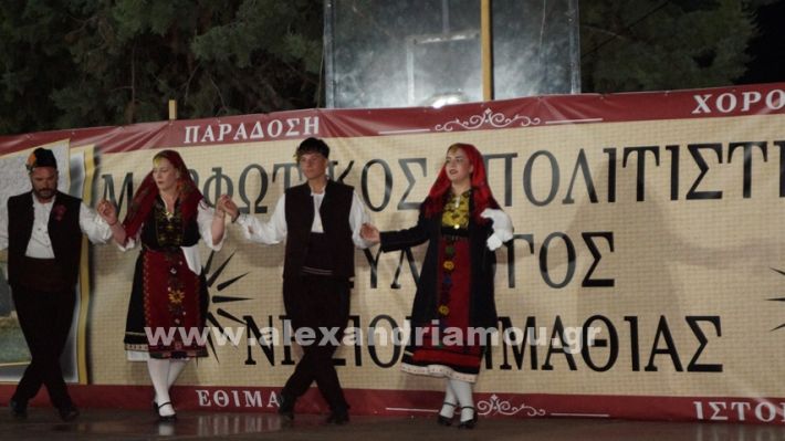 www.alexandriamou.gr_nissi_panhgyrikes_ekdiloseis_xoreftika29.6.25DSC03115