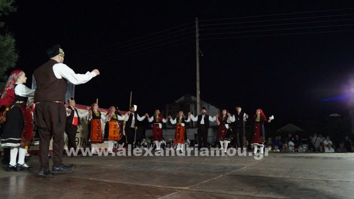 www.alexandriamou.gr_nissi_panhgyrikes_ekdiloseis_xoreftika29.6.25DSC03119