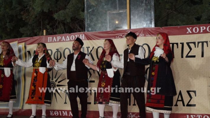 www.alexandriamou.gr_nissi_panhgyrikes_ekdiloseis_xoreftika29.6.25DSC03120