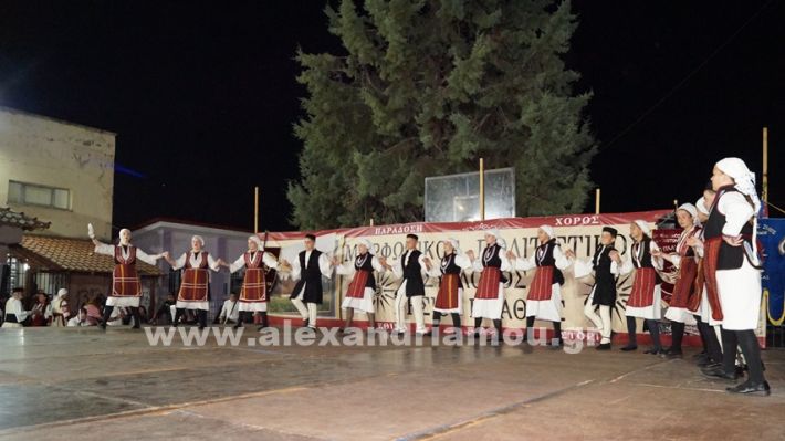 www.alexandriamou.gr_nissi_panhgyrikes_ekdiloseis_xoreftika29.6.25DSC03126