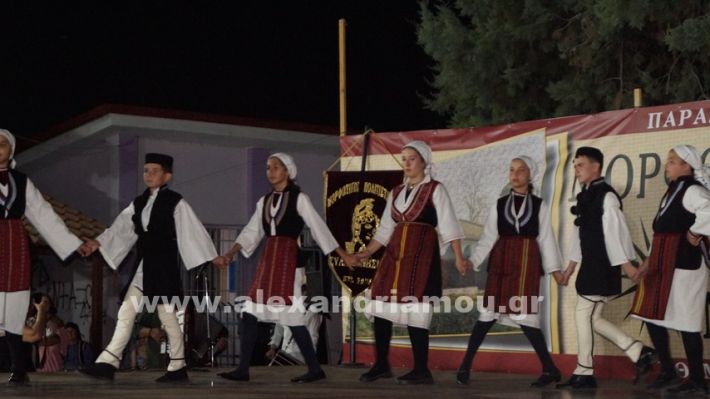 www.alexandriamou.gr_nissi_panhgyrikes_ekdiloseis_xoreftika29.6.25DSC03139