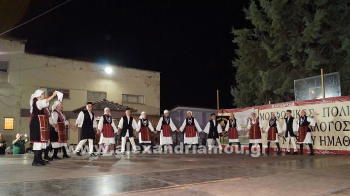 www.alexandriamou.gr_nissi_panhgyrikes_ekdiloseis_xoreftika29.6.25DSC03141