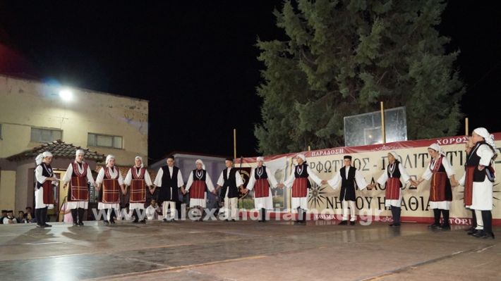 www.alexandriamou.gr_nissi_panhgyrikes_ekdiloseis_xoreftika29.6.25DSC03143