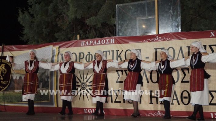 www.alexandriamou.gr_nissi_panhgyrikes_ekdiloseis_xoreftika29.6.25DSC03155