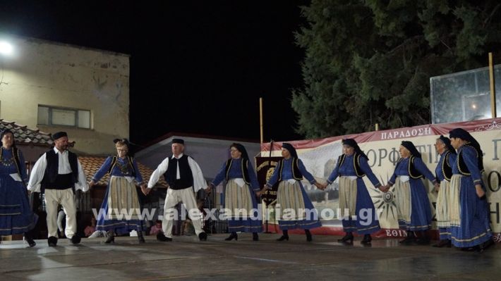 www.alexandriamou.gr_nissi_panhgyrikes_ekdiloseis_xoreftika29.6.25DSC03165