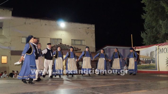 www.alexandriamou.gr_nissi_panhgyrikes_ekdiloseis_xoreftika29.6.25DSC03167
