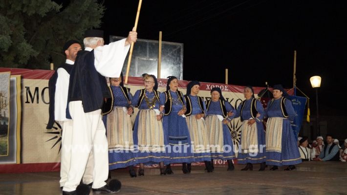 www.alexandriamou.gr_nissi_panhgyrikes_ekdiloseis_xoreftika29.6.25DSC03175