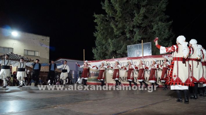 www.alexandriamou.gr_nissi_panhgyrikes_ekdiloseis_xoreftika29.6.25DSC03197