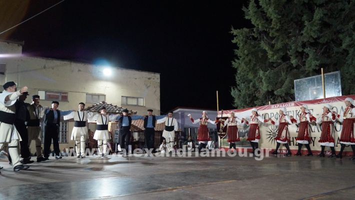 www.alexandriamou.gr_nissi_panhgyrikes_ekdiloseis_xoreftika29.6.25DSC03198