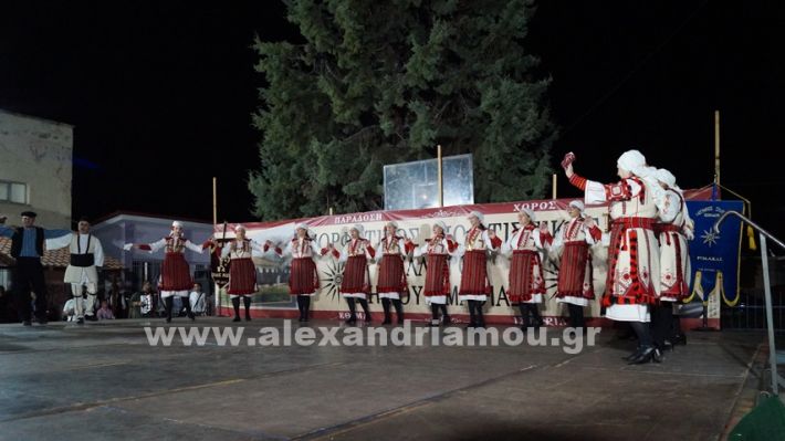 www.alexandriamou.gr_nissi_panhgyrikes_ekdiloseis_xoreftika29.6.25DSC03199
