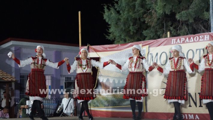 www.alexandriamou.gr_nissi_panhgyrikes_ekdiloseis_xoreftika29.6.25DSC03200