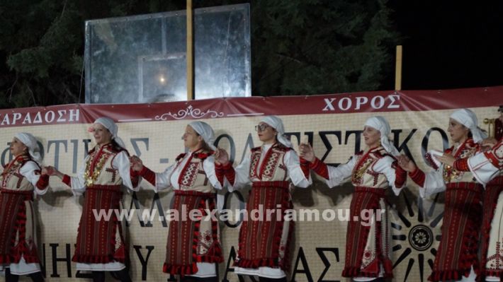 www.alexandriamou.gr_nissi_panhgyrikes_ekdiloseis_xoreftika29.6.25DSC03203