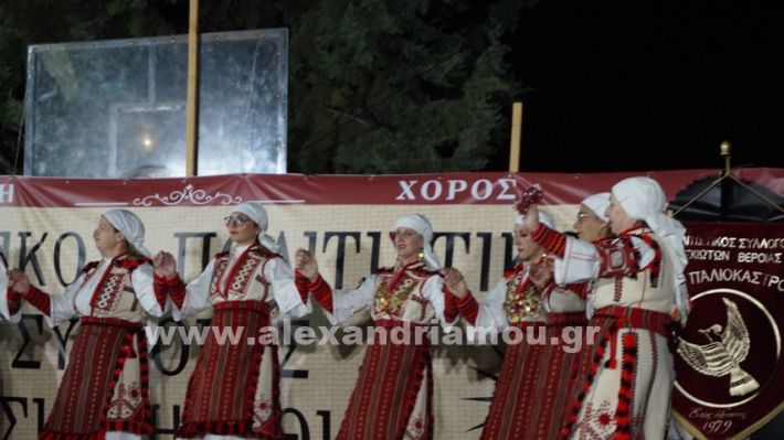 www.alexandriamou.gr_nissi_panhgyrikes_ekdiloseis_xoreftika29.6.25DSC03204