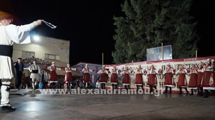 www.alexandriamou.gr_nissi_panhgyrikes_ekdiloseis_xoreftika29.6.25DSC03213