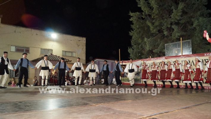 www.alexandriamou.gr_nissi_panhgyrikes_ekdiloseis_xoreftika29.6.25DSC03217