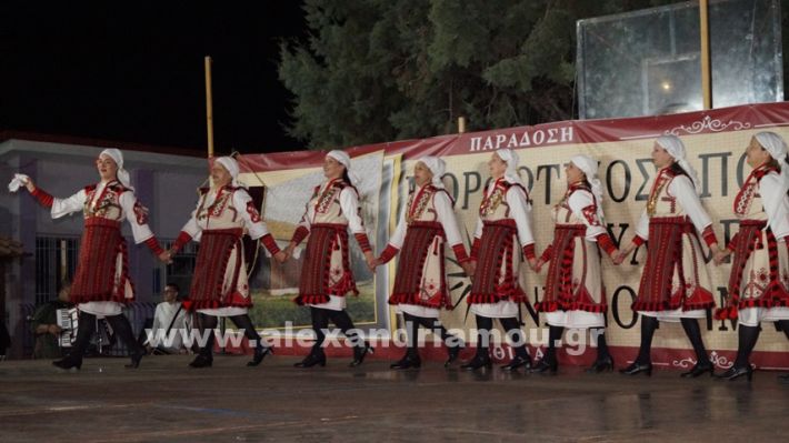 www.alexandriamou.gr_nissi_panhgyrikes_ekdiloseis_xoreftika29.6.25DSC03218