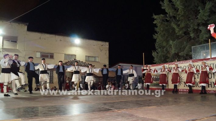www.alexandriamou.gr_nissi_panhgyrikes_ekdiloseis_xoreftika29.6.25DSC03224