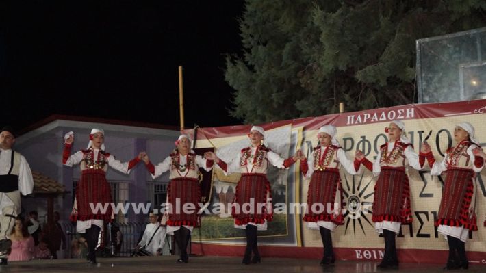 www.alexandriamou.gr_nissi_panhgyrikes_ekdiloseis_xoreftika29.6.25DSC03225