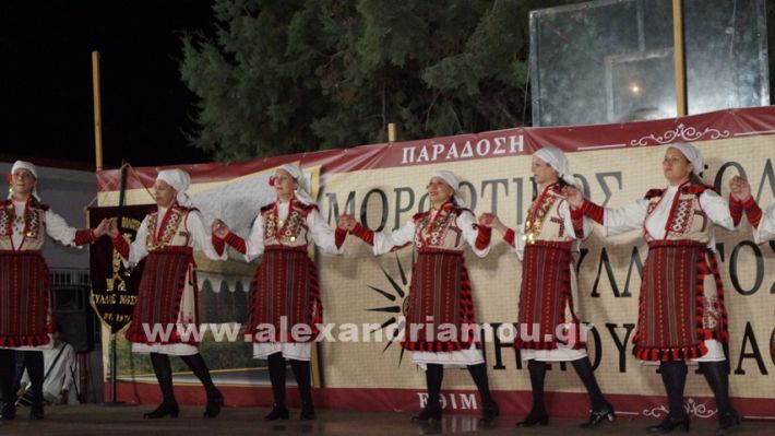 www.alexandriamou.gr_nissi_panhgyrikes_ekdiloseis_xoreftika29.6.25DSC03226