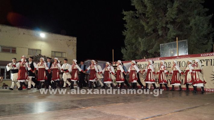 www.alexandriamou.gr_nissi_panhgyrikes_ekdiloseis_xoreftika29.6.25DSC03229