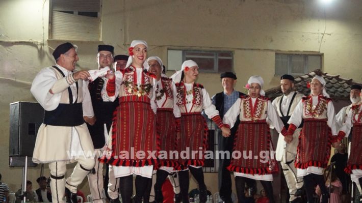 www.alexandriamou.gr_nissi_panhgyrikes_ekdiloseis_xoreftika29.6.25DSC03230