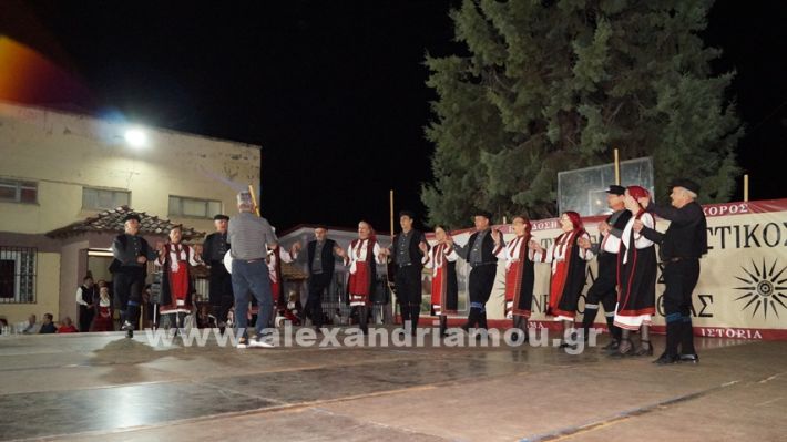 www.alexandriamou.gr_nissi_panhgyrikes_ekdiloseis_xoreftika29.6.25DSC03240