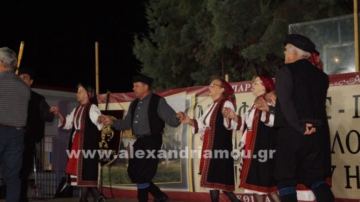 www.alexandriamou.gr_nissi_panhgyrikes_ekdiloseis_xoreftika29.6.25DSC03245