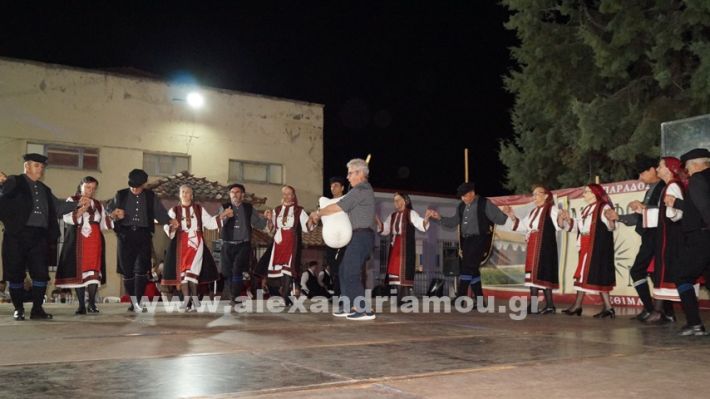 www.alexandriamou.gr_nissi_panhgyrikes_ekdiloseis_xoreftika29.6.25DSC03246