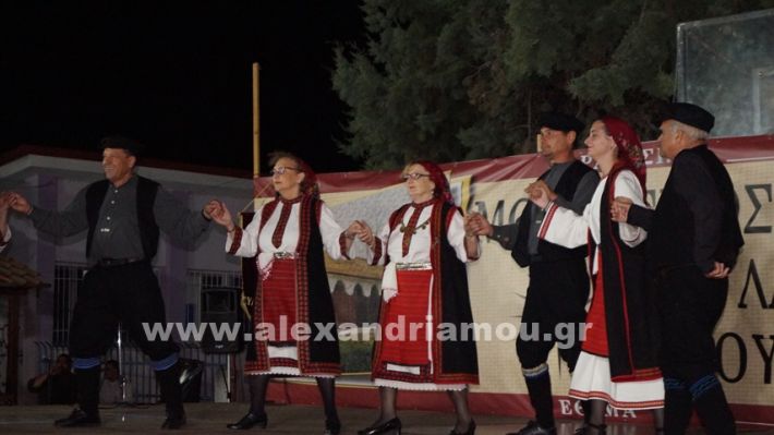 www.alexandriamou.gr_nissi_panhgyrikes_ekdiloseis_xoreftika29.6.25DSC03247