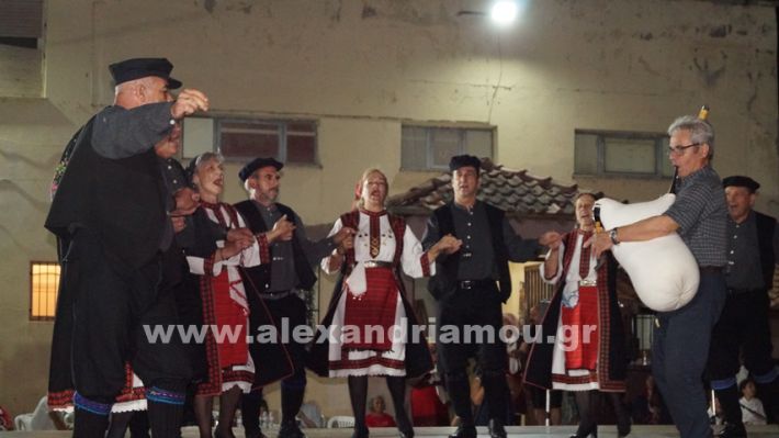 www.alexandriamou.gr_nissi_panhgyrikes_ekdiloseis_xoreftika29.6.25DSC03248