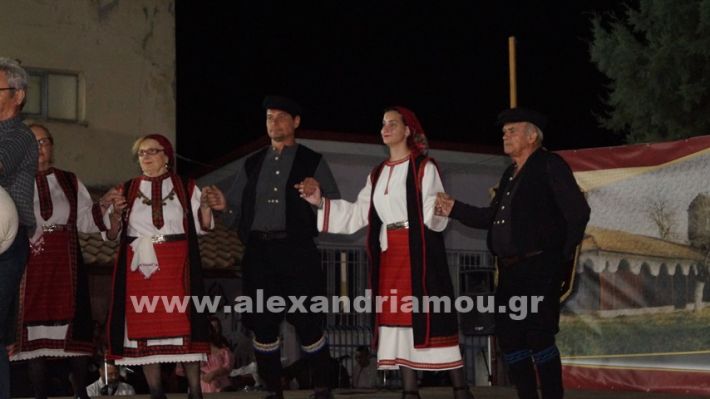 www.alexandriamou.gr_nissi_panhgyrikes_ekdiloseis_xoreftika29.6.25DSC03249