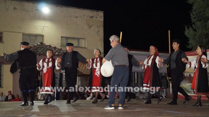 www.alexandriamou.gr_nissi_panhgyrikes_ekdiloseis_xoreftika29.6.25DSC03250