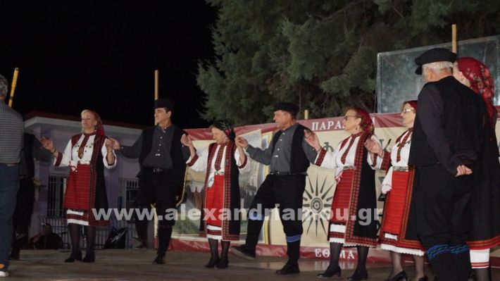 www.alexandriamou.gr_nissi_panhgyrikes_ekdiloseis_xoreftika29.6.25DSC03251