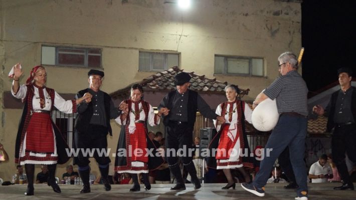 www.alexandriamou.gr_nissi_panhgyrikes_ekdiloseis_xoreftika29.6.25DSC03254