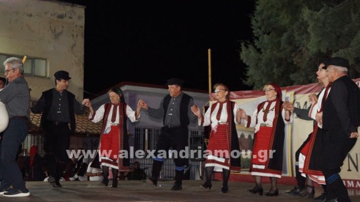 www.alexandriamou.gr_nissi_panhgyrikes_ekdiloseis_xoreftika29.6.25DSC03255