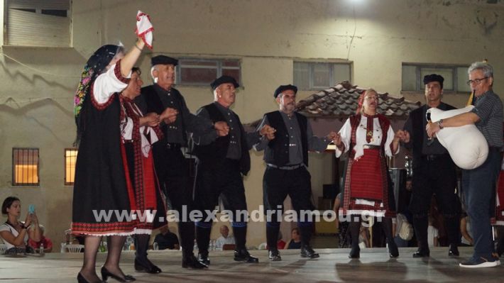 www.alexandriamou.gr_nissi_panhgyrikes_ekdiloseis_xoreftika29.6.25DSC03256