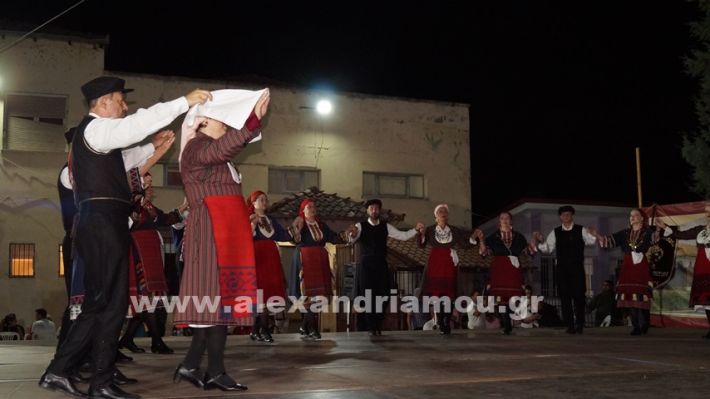 www.alexandriamou.gr_nissi_panhgyrikes_ekdiloseis_xoreftika29.6.25DSC03270