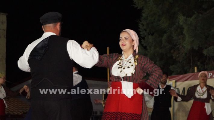 www.alexandriamou.gr_nissi_panhgyrikes_ekdiloseis_xoreftika29.6.25DSC03273