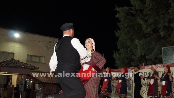 www.alexandriamou.gr_nissi_panhgyrikes_ekdiloseis_xoreftika29.6.25DSC03275