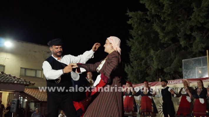 www.alexandriamou.gr_nissi_panhgyrikes_ekdiloseis_xoreftika29.6.25DSC03277