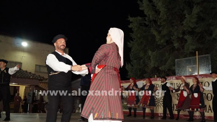 www.alexandriamou.gr_nissi_panhgyrikes_ekdiloseis_xoreftika29.6.25DSC03278