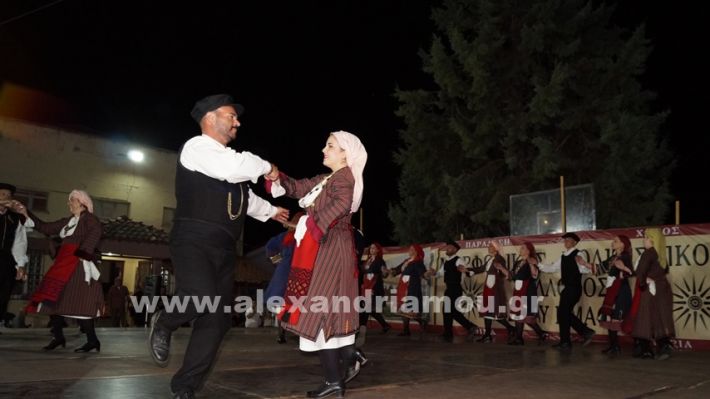 www.alexandriamou.gr_nissi_panhgyrikes_ekdiloseis_xoreftika29.6.25DSC03279