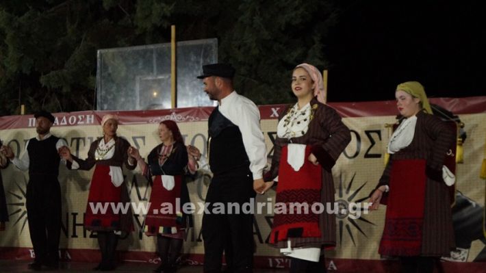 www.alexandriamou.gr_nissi_panhgyrikes_ekdiloseis_xoreftika29.6.25DSC03281