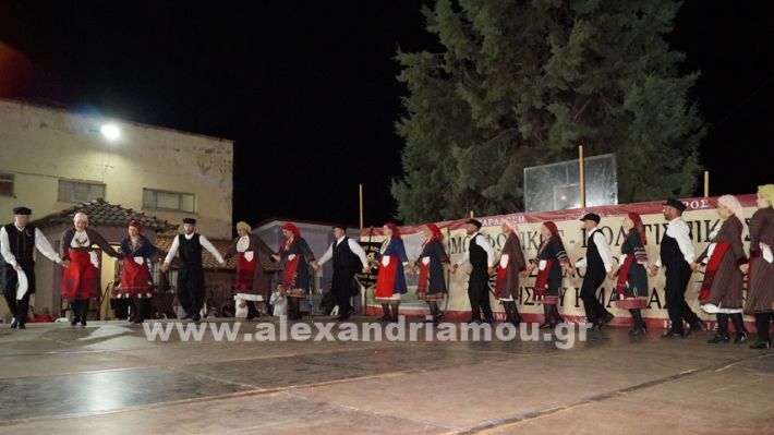 www.alexandriamou.gr_nissi_panhgyrikes_ekdiloseis_xoreftika29.6.25DSC03282