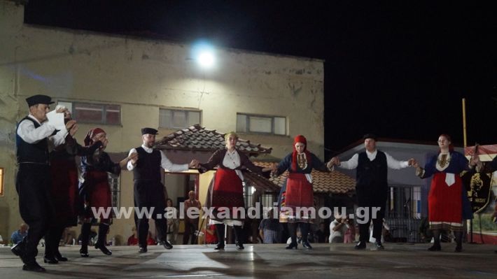 www.alexandriamou.gr_nissi_panhgyrikes_ekdiloseis_xoreftika29.6.25DSC03283